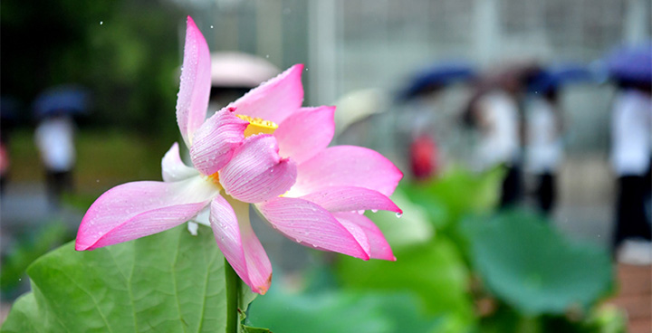 500 ???? ?????? ?????? ?????? ??????? ????? ?? ??????? ???????? ?????????