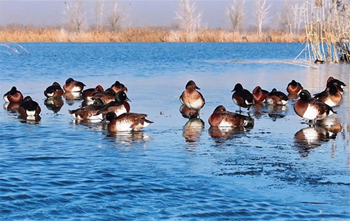 ?????? ?????? ?????? ??????: ????? ?????? ????? ?????? ???? ?????? ??????? 