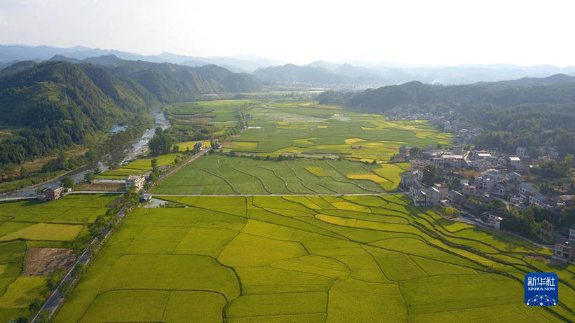 ?????? ????????: ????? ????? ??????? ???????? ???? ???????(3)