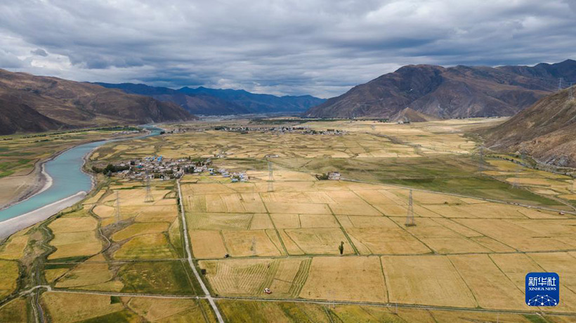 ???????? ????????? ??????: ???? ?????(3)