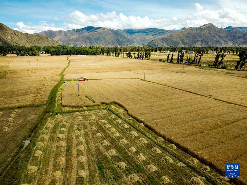 ????? ?????? ??????: ????? ???? – ????? ???????? ?????? ???????(3)