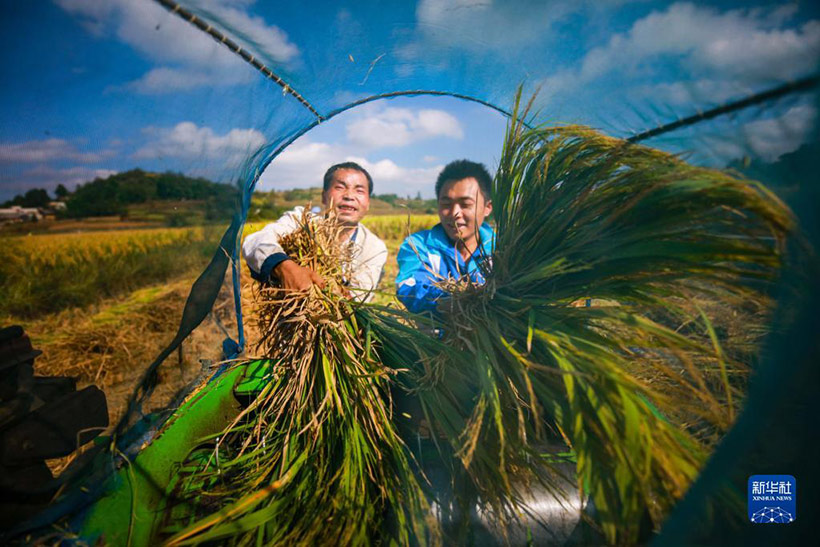 ??????? ????? — ??? ???????? ????????? ??????? ???????? ????? ??????(4)