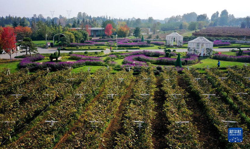 ?? – ??: ????? ??????????? ??????? ???????? ?????? ?????? ???? – ???????? ?????????? ??? ?????(2)