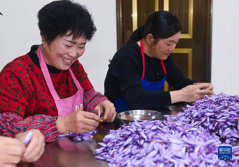 ??????: ??????? ??????? ?????????? ????? ??? ???????(3)