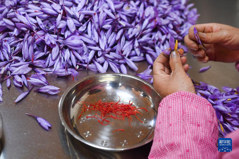 ??????: ??????? ??????? ?????????? ????? ??? ???????(4)