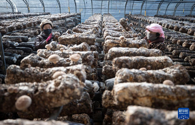 ????????? ????? ??????: ??????? ???????????? ????? ?????? ?????? ???? – ???????? ???????????? ??? ?????(3)