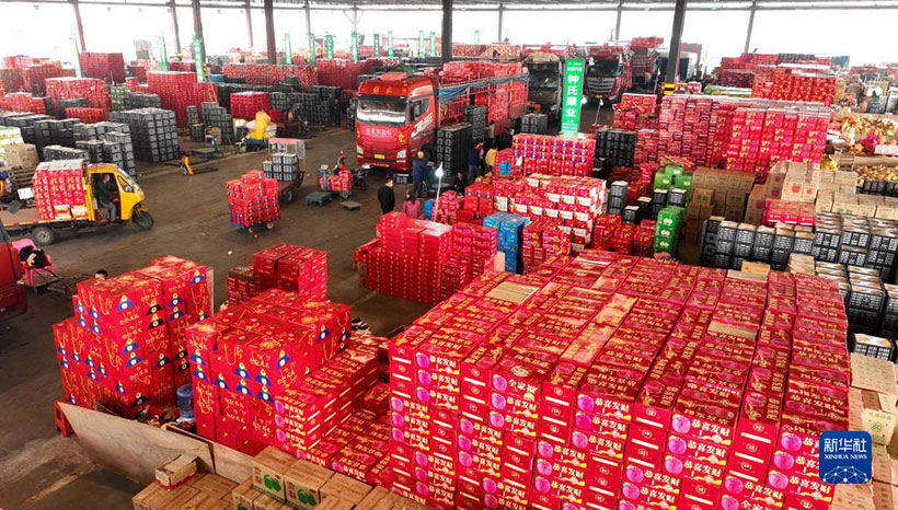 ?????? ???????? ??????? ?????? ????? – ????? ????????? ?????????????? ??? ???????? ???????(5)