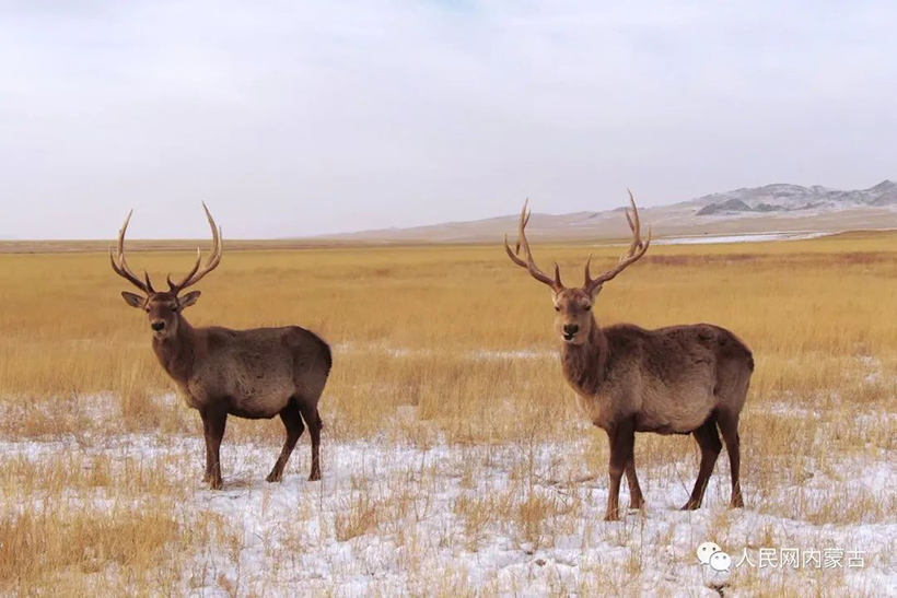 ?????? ???? ???????! ???? ????? ?????? ?????? ??????? ?????????? ????? ??????? ????????(2)