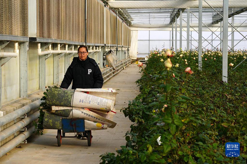 ???? ???? ????? ?????? ??????(2)