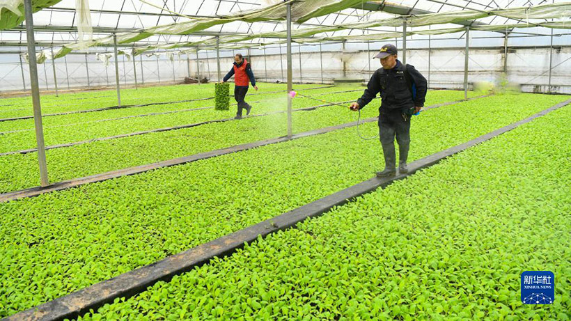 ???????? ??????? ??????? (4)