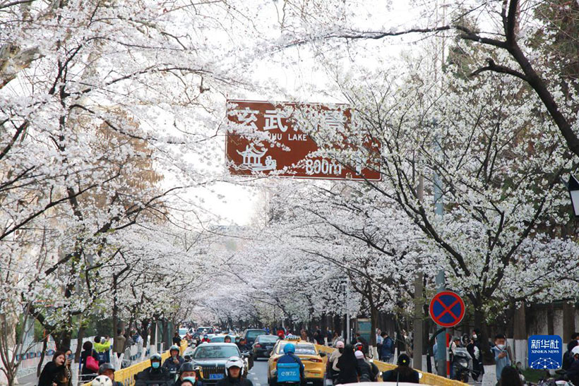 ???????? ??? ???? ??????? ??????? ?????????????? ???????(3)